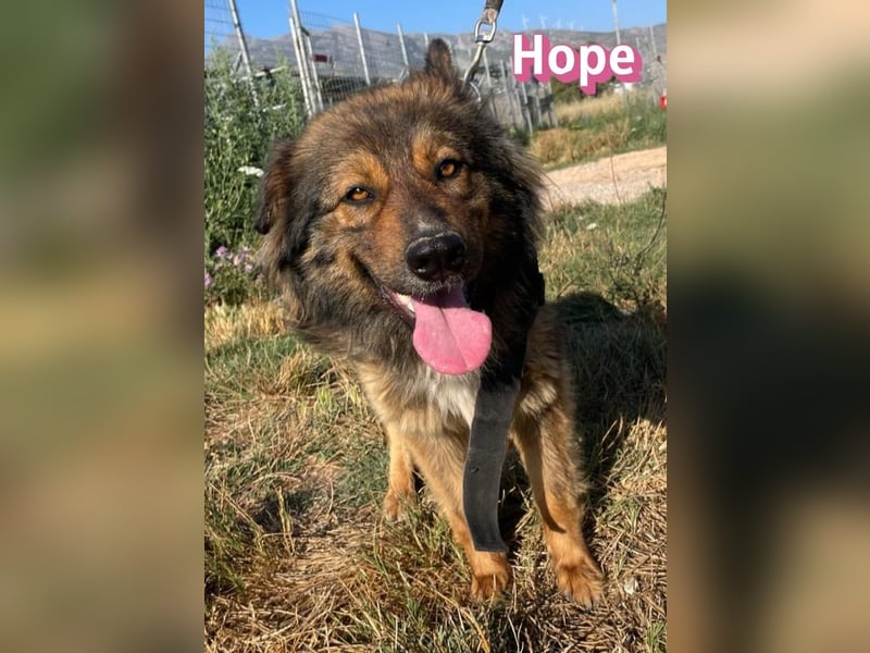 Hope, 05/24 - Die, die immer lacht! wartet in 64653 Lorsch