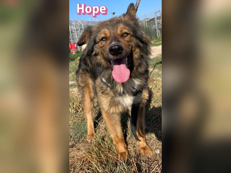Hope, 05/24 - Die, die immer lacht! wartet in 64653 Lorsch