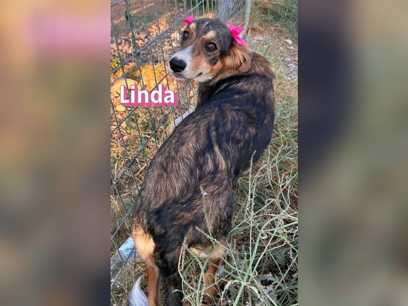 Linda, 03/26 - bezaubrendes Mädel sucht Familie