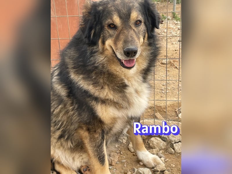 Rambo 01/22 - aktives Moppelchen sucht Diätpartner