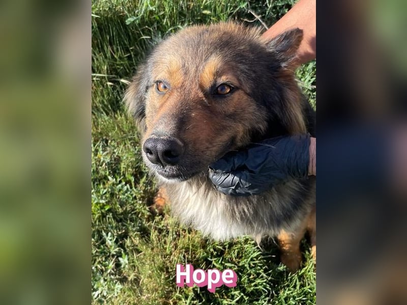 Hope, 05/24 - Die, die immer lacht! wartet in 64653 Lorsch
