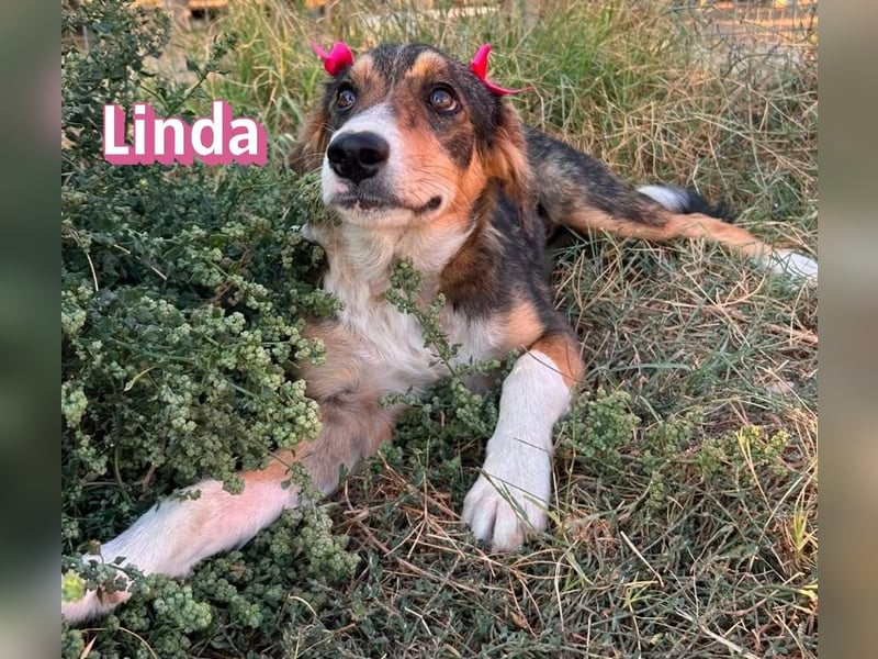 Linda, 03/26 - bezaubrendes Mädel sucht Familie