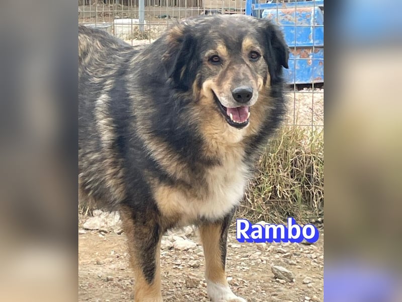 Rambo 01/22 - aktives Moppelchen sucht Diätpartner