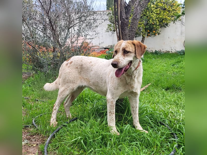 Luna (PA) süße Maus sucht ihre neue Familie