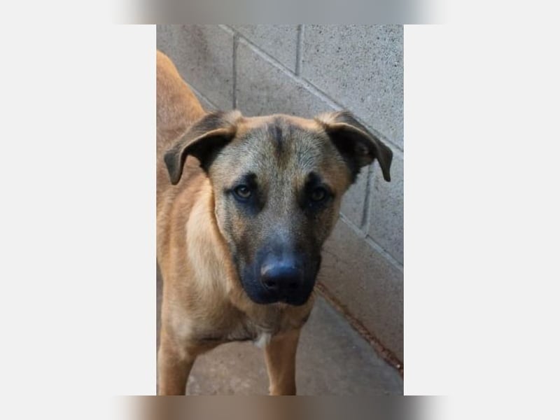 Rufo(CR) freundlicher junger Bub