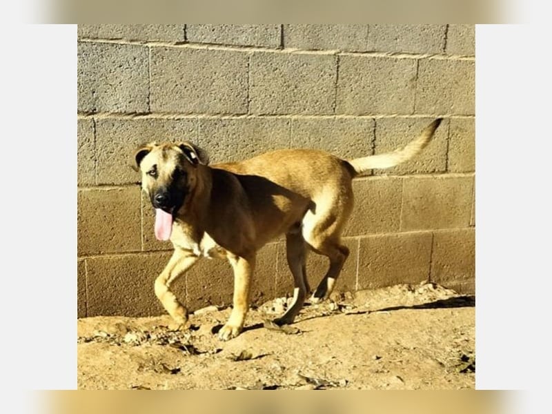 Rufo(CR) freundlicher junger Bub