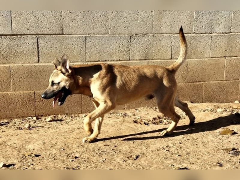 Rufo(CR) freundlicher junger Bub