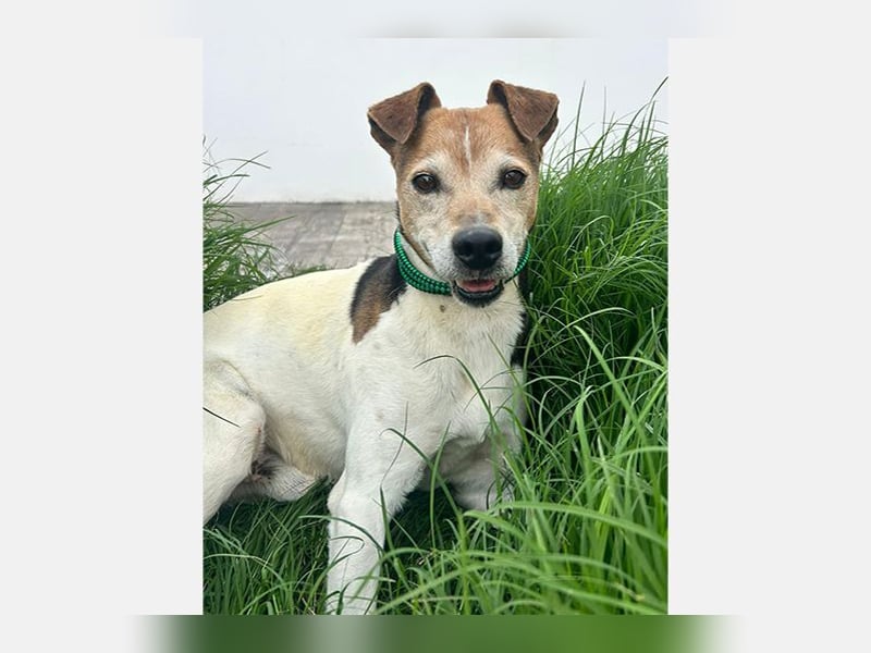 Max (LR) ein guter, ruhiger, edler Bube