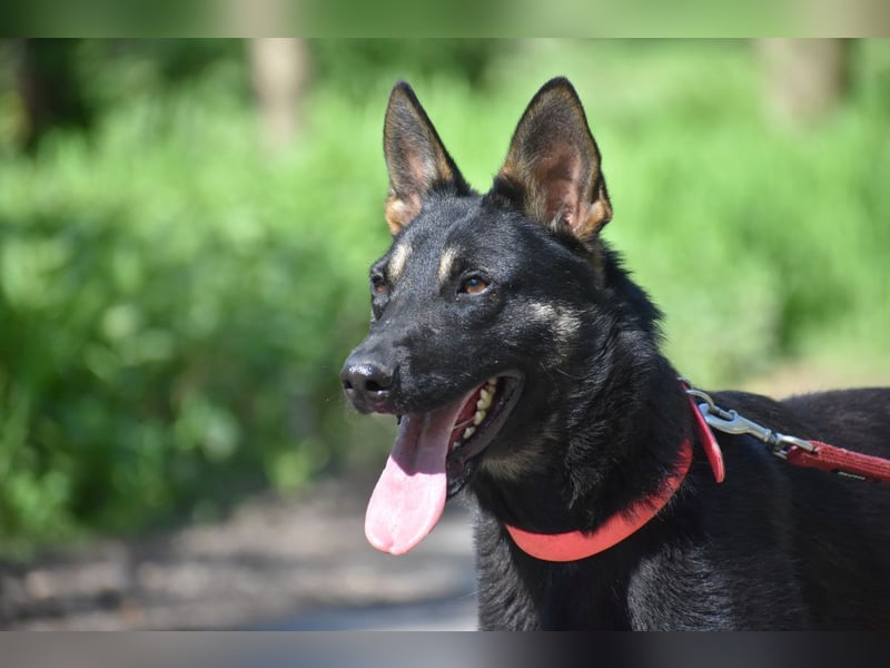 menschenbezogene Emma