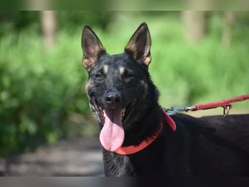 menschenbezogene Emma