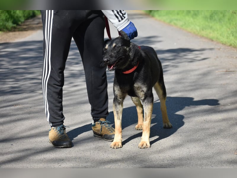 menschenbezogene Emma