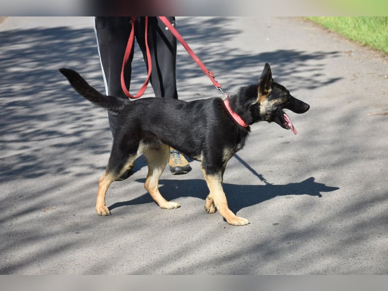 menschenbezogene Emma