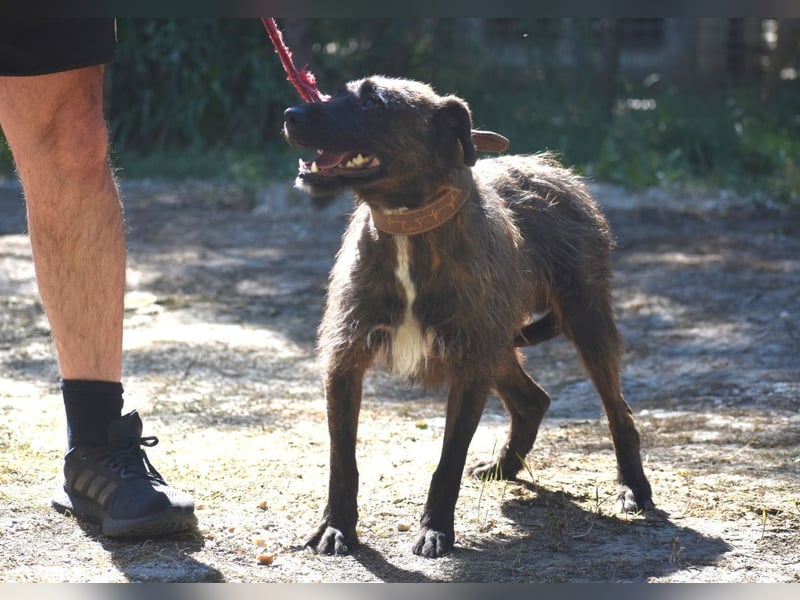 Pip