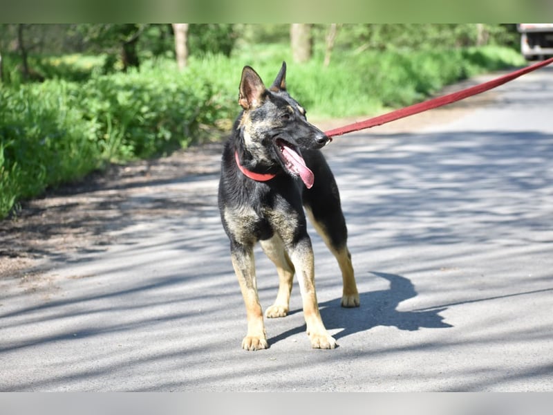 menschenbezogene Emma