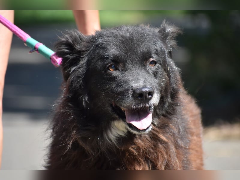 Senior Tapingo, Notfall!