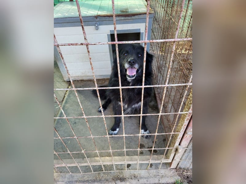 Senior Tapingo, Notfall!