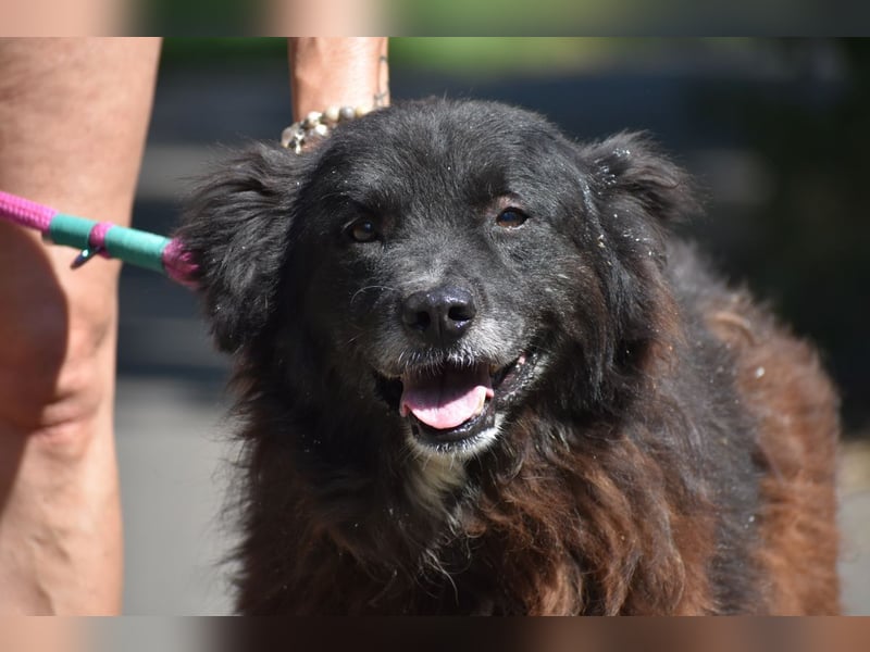 Senior Tapingo, Notfall!