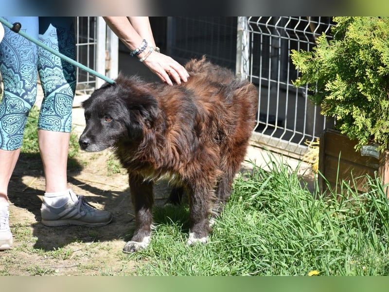 Senior Tapingo, Notfall!