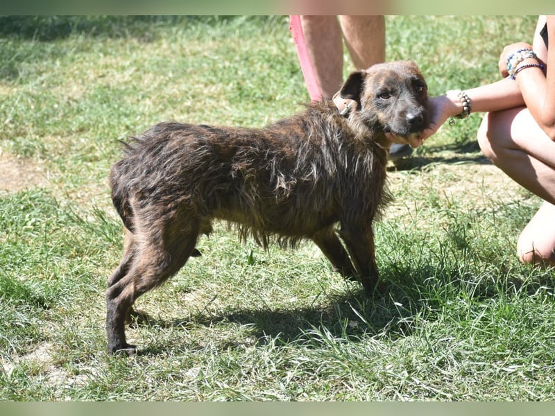 Pip