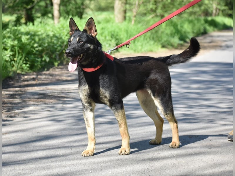 menschenbezogene Emma