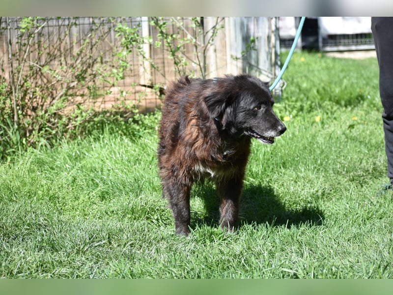 Senior Tapingo, Notfall!