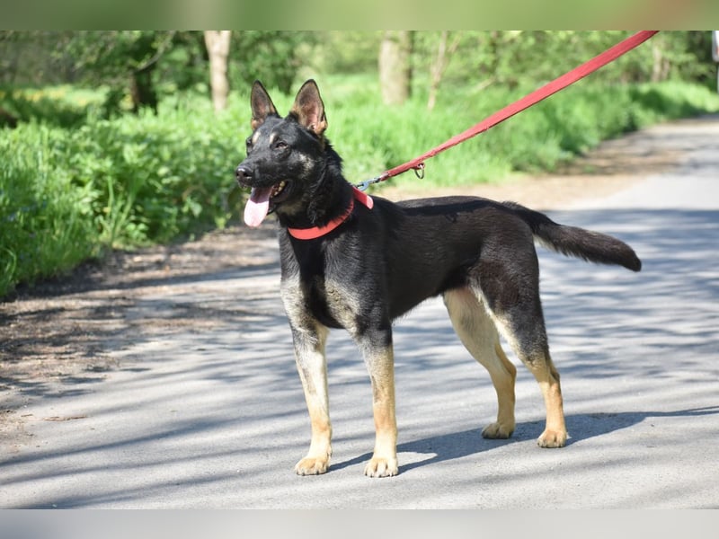 menschenbezogene Emma