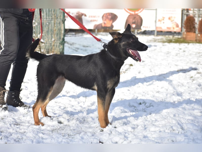 menschenbezogene Emma