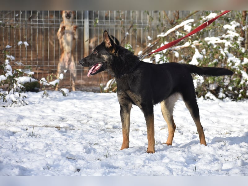 menschenbezogene Emma