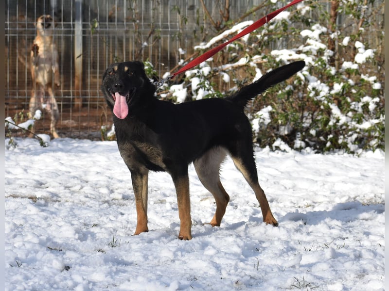 menschenbezogene Emma