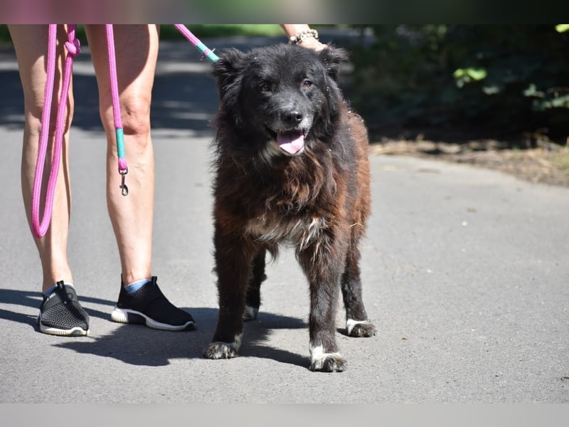 Senior Tapingo, Notfall!