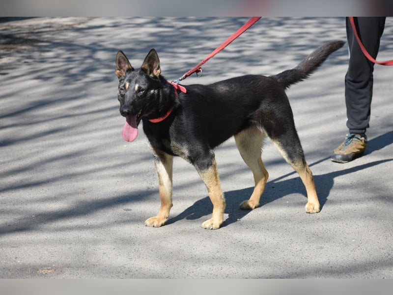 menschenbezogene Emma