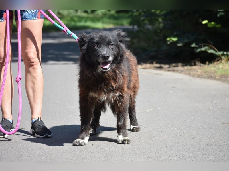 Senior Tapingo, Notfall!