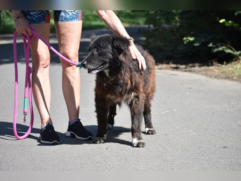 Senior Tapingo, Notfall!