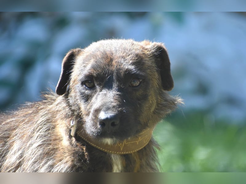 Pip