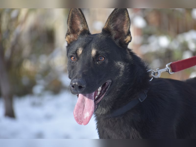 menschenbezogene Emma