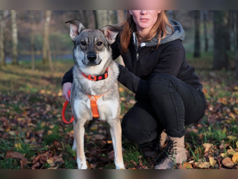 Sanfte Vivien sucht liebevolles Zuhause