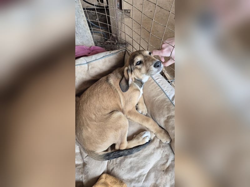 Lacta - von der Straße ins Glück?