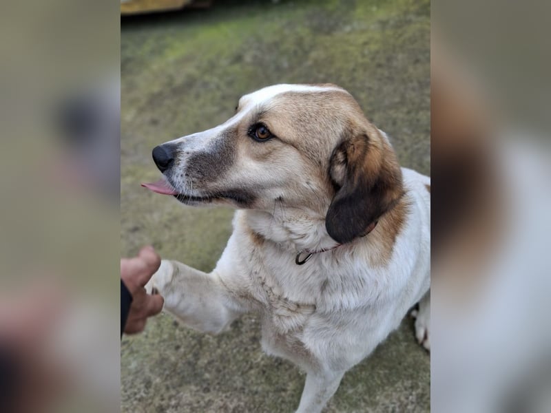 Rea Marie - bereit für Abenteuer