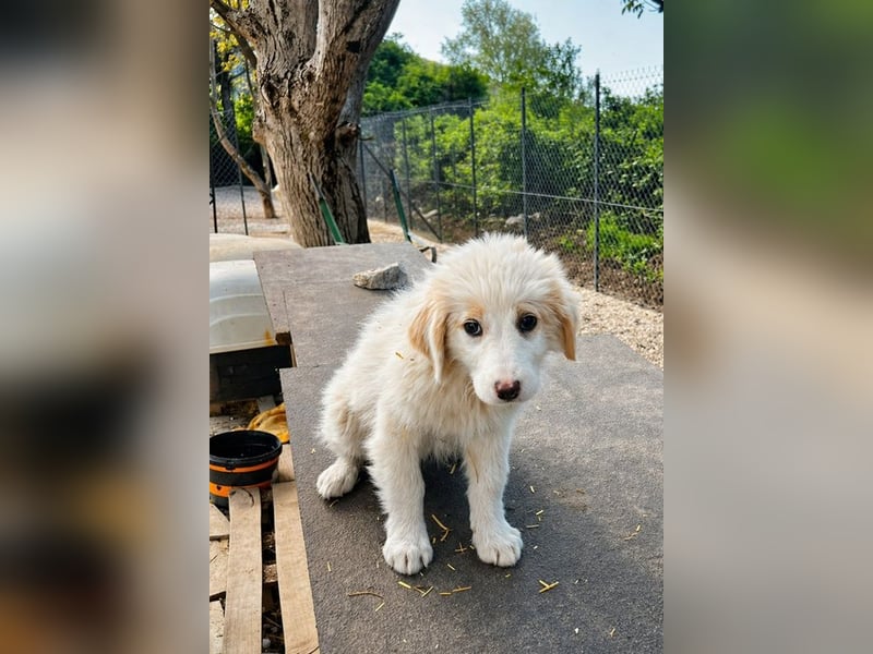 Emy ist bereit für ihr großes Abenteuer