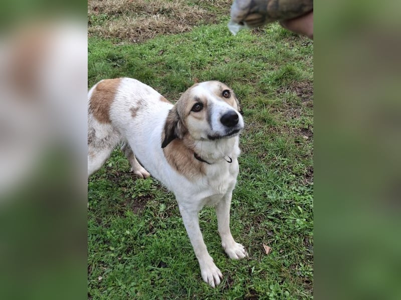 Rea Marie - bereit für Abenteuer