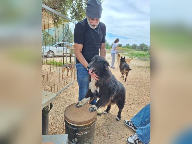 Mania - flauschig, schwarz und einfach klasse!