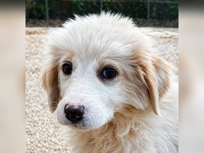 Emy ist bereit für ihr großes Abenteuer