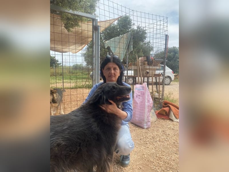 Mania - flauschig, schwarz und einfach klasse!