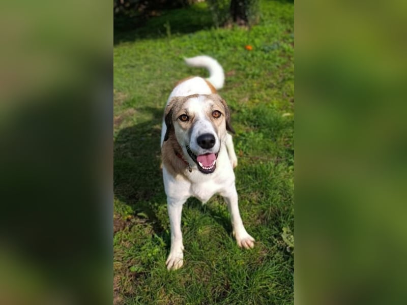 Rea Marie - bereit für Abenteuer