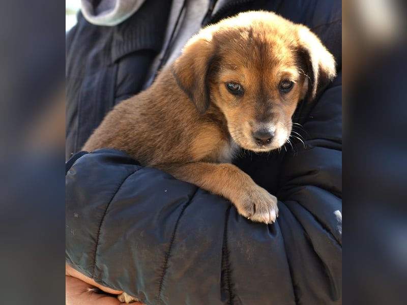 Lacta - von der Straße ins Glück?