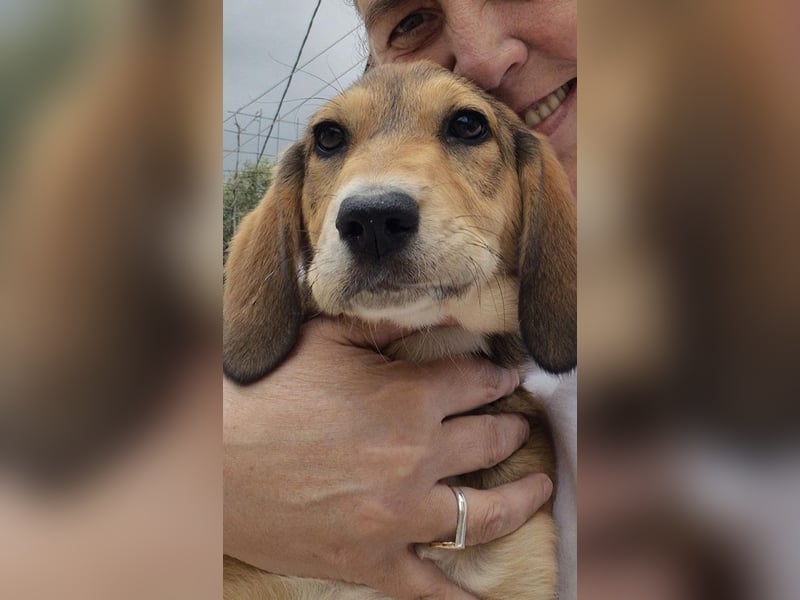 Lacta - von der Straße ins Glück?