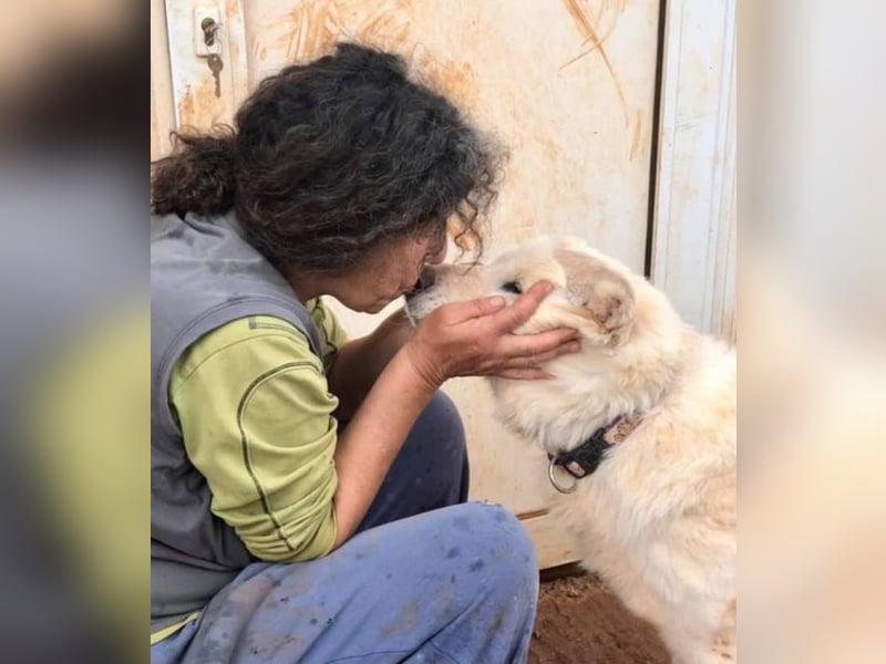 Nakuma - eine starke, treue Persönlichkeit sucht Ihre Menschen