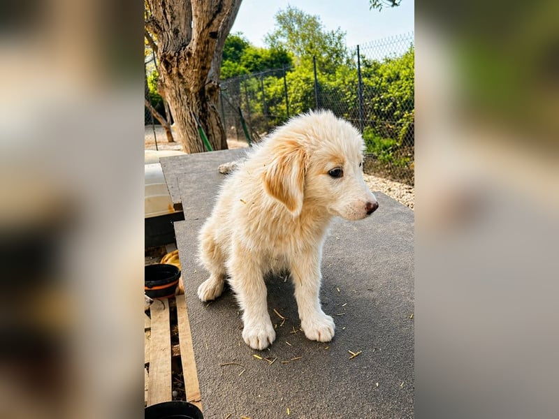 Emy ist bereit für ihr großes Abenteuer