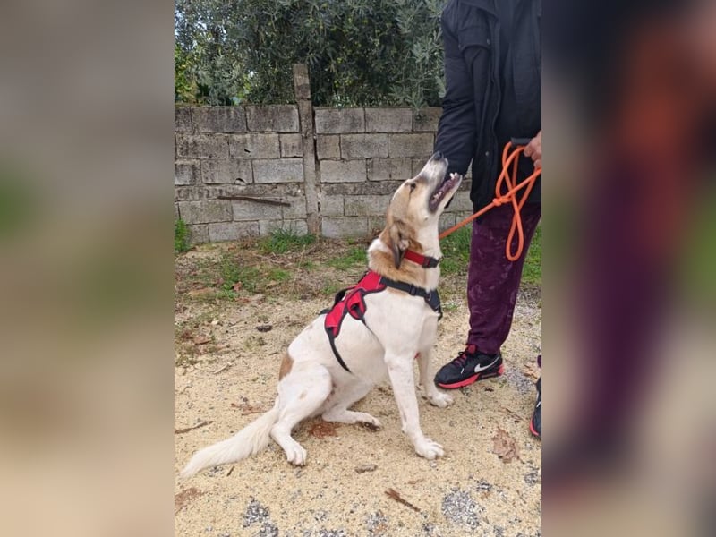 Rea Marie - bereit für Abenteuer