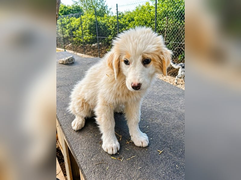 Emy ist bereit für ihr großes Abenteuer